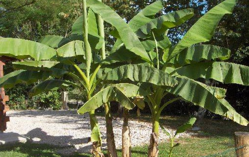 Location de vacances - Chalet à Le Tartre