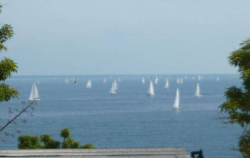 Location de vacances - Appartement à Calvi