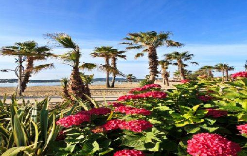 Location de vacances - Bungalow - Mobilhome à Grimaud