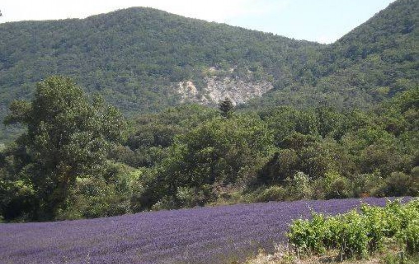 Location de vacances - Appartement à Roche-Saint-Secret-Béconne