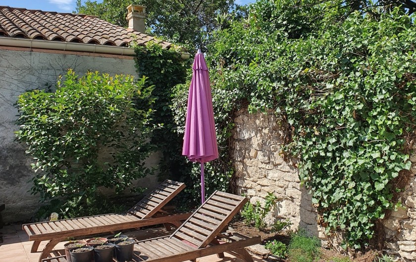 Location de vacances - Mas à Saint-Rémy-de-Provence