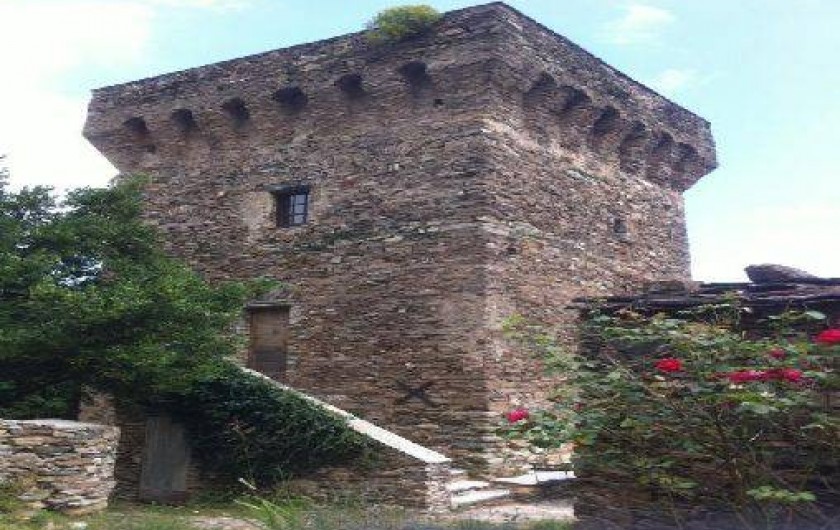 Location de vacances - Château - Manoir à Sisco