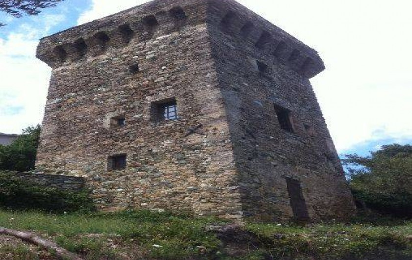Location de vacances - Château - Manoir à Sisco
