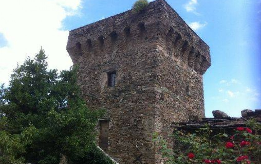 Location de vacances - Château - Manoir à Sisco