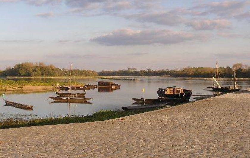 Location de vacances - Studio à Saint-Aubin-de-Luigné - Bord de Loire et sa batellerie