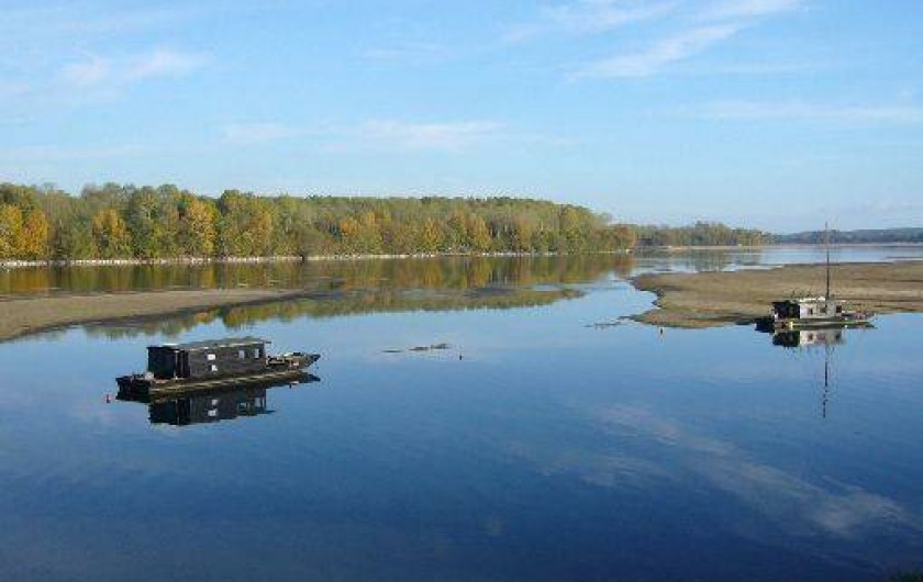 Location de vacances - Studio à Saint-Aubin-de-Luigné - La Loire à deux pas
