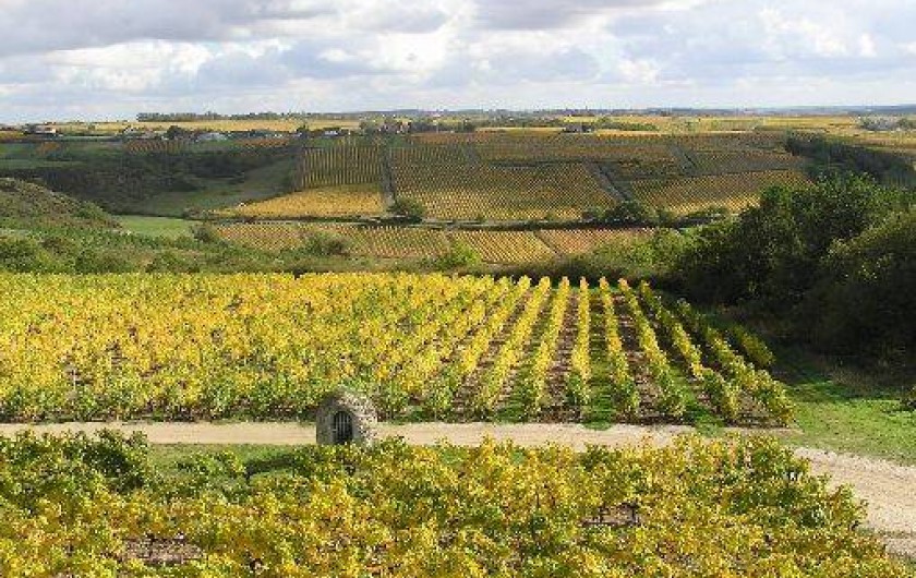Location de vacances - Studio à Saint-Aubin-de-Luigné - Panorama