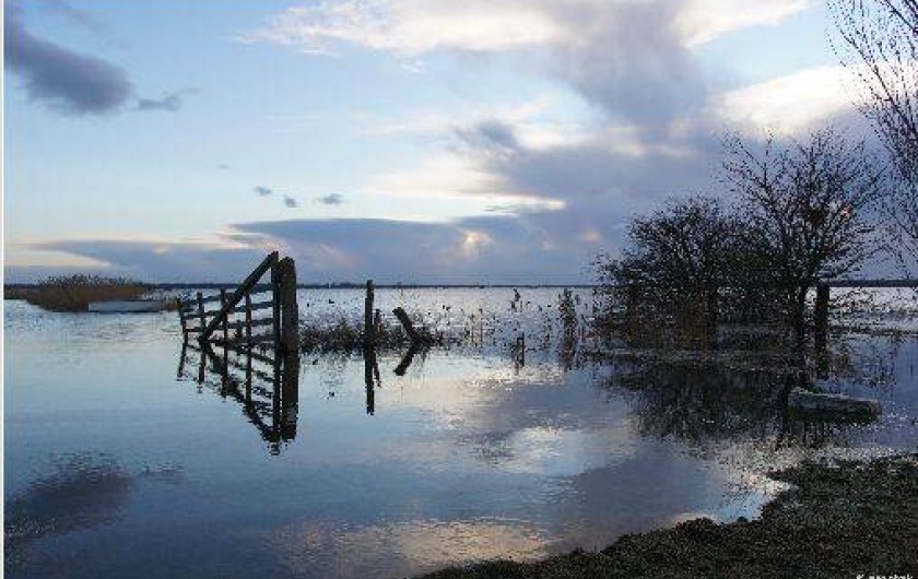 Location de vacances - Appartement à Périers