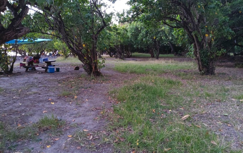 Location de vacances - Gîte à Bouillante