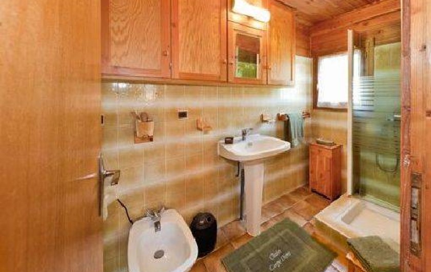 Location de vacances - Chalet à La Bâtie-Neuve