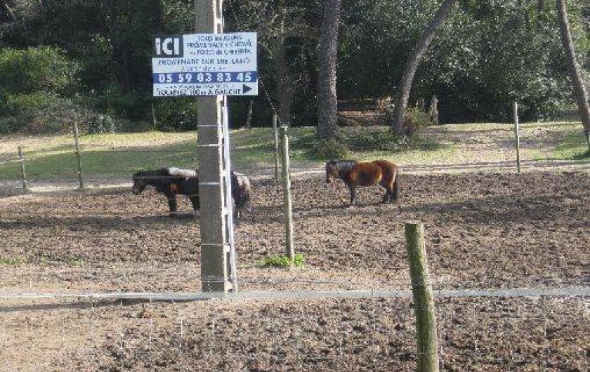 Location de vacances - Studio à Anglet
