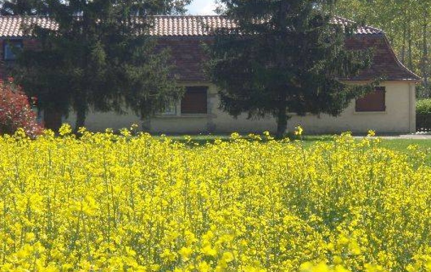 Location de vacances - Gîte à Villeréal