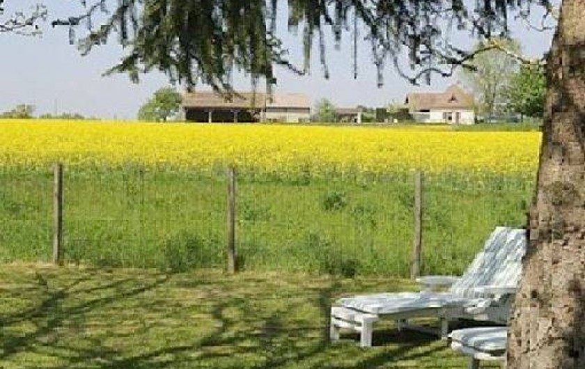 Location de vacances - Gîte à Villeréal