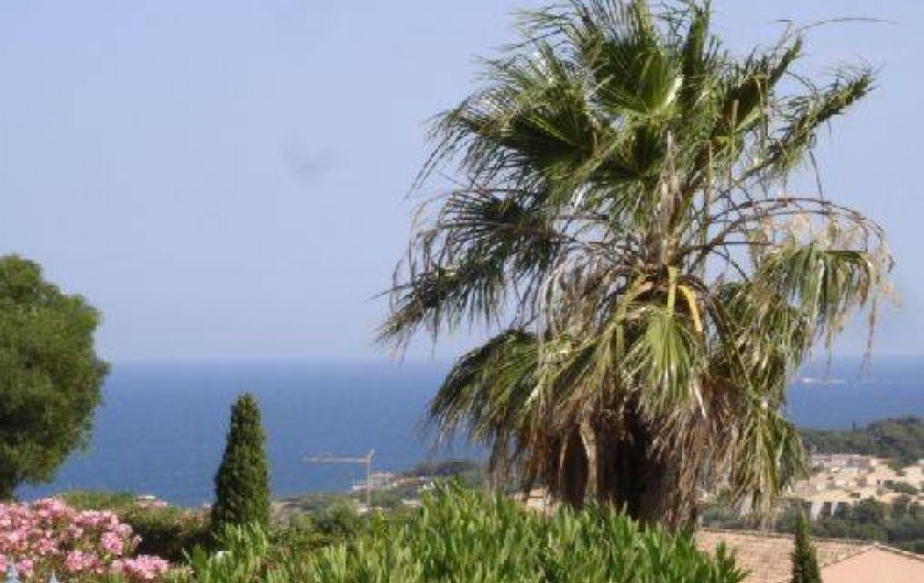 Location de vacances - Villa à Les Issambres