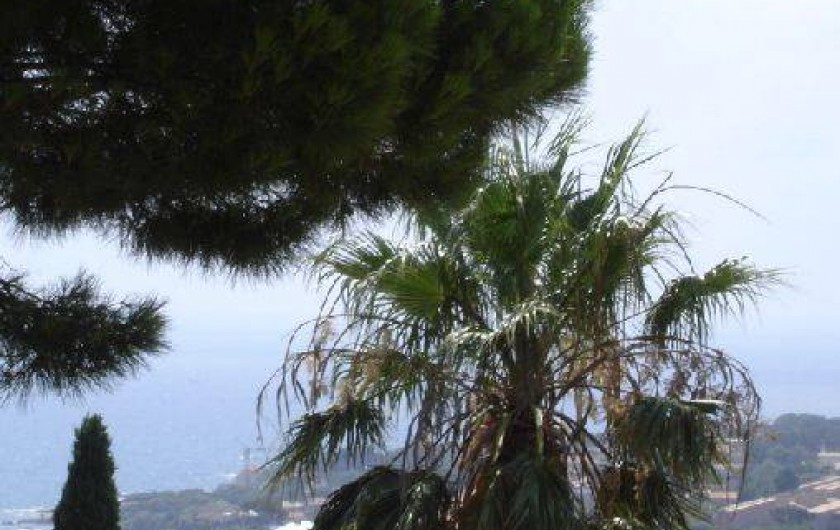 Location de vacances - Villa à Les Issambres