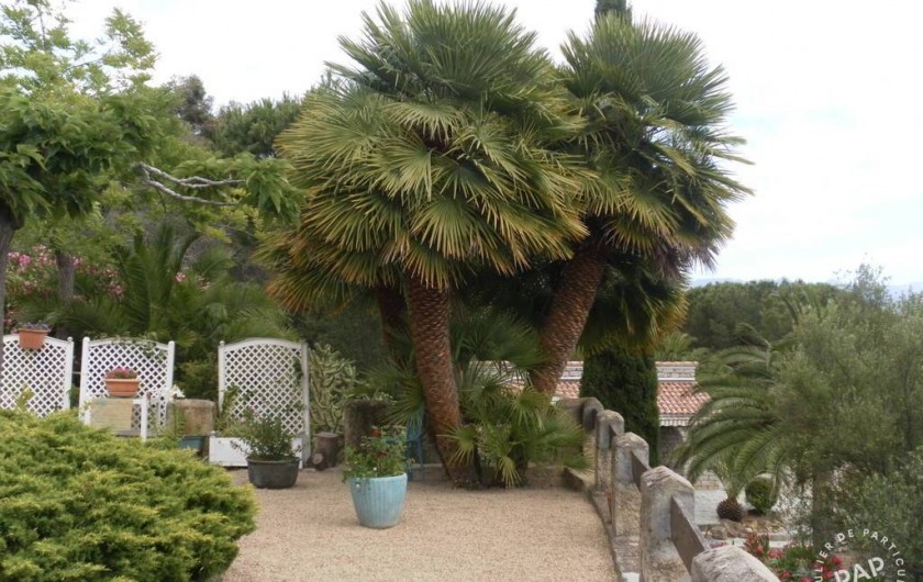 Location de vacances - Appartement à Olmeto