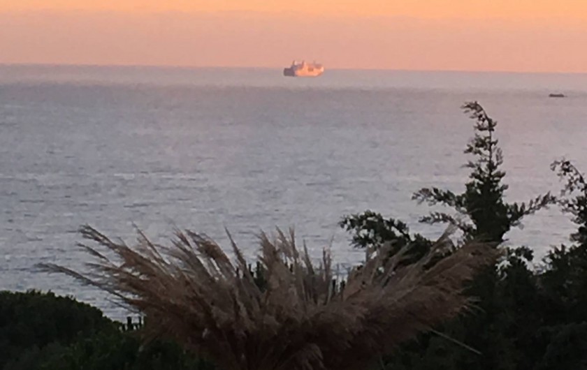 Location de vacances - Appartement à Olmeto