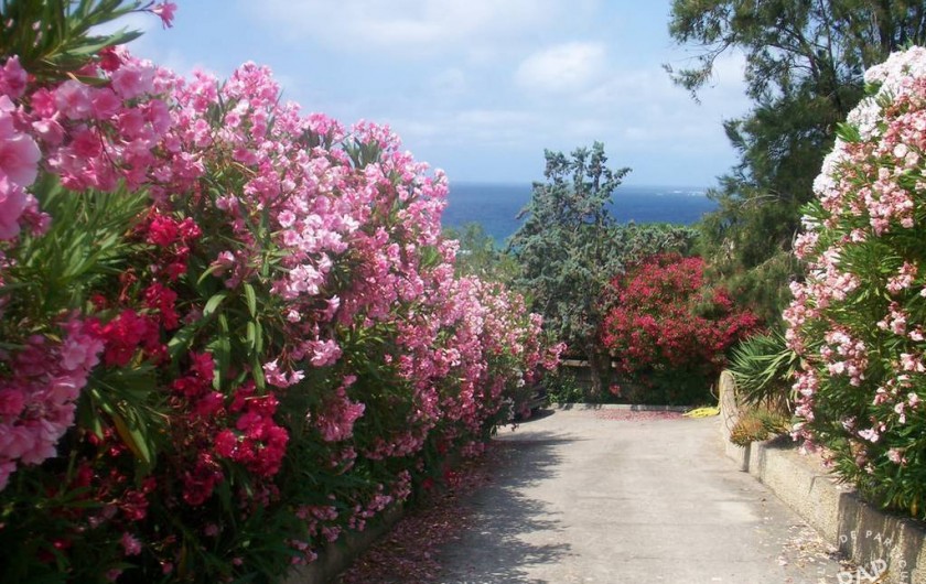 Location de vacances - Appartement à Olmeto