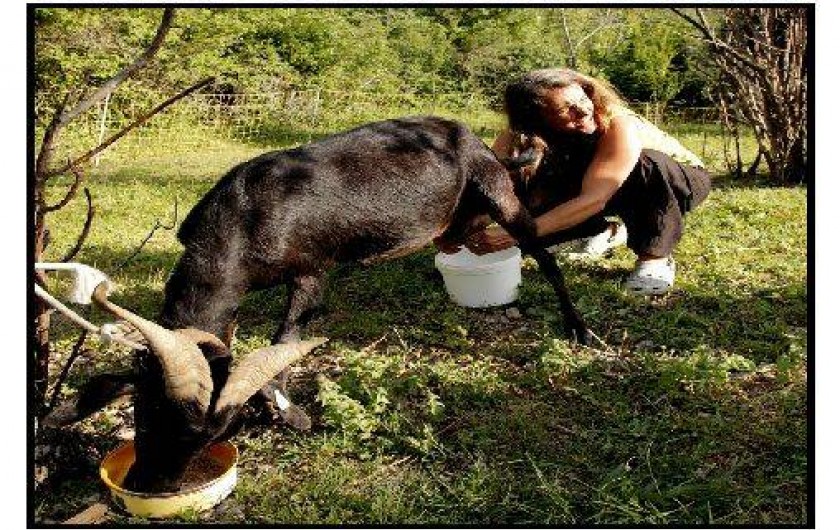 Location de vacances - Chalet à La Roche-sur-le-Buis