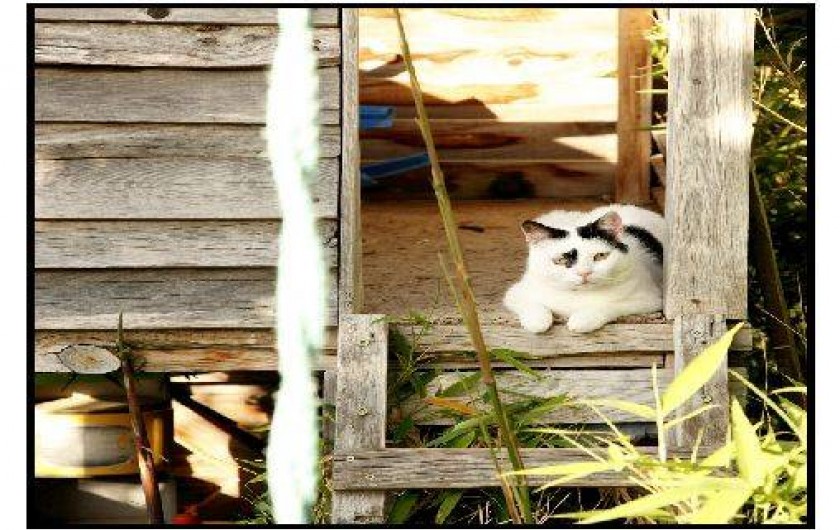 Location de vacances - Chalet à La Roche-sur-le-Buis