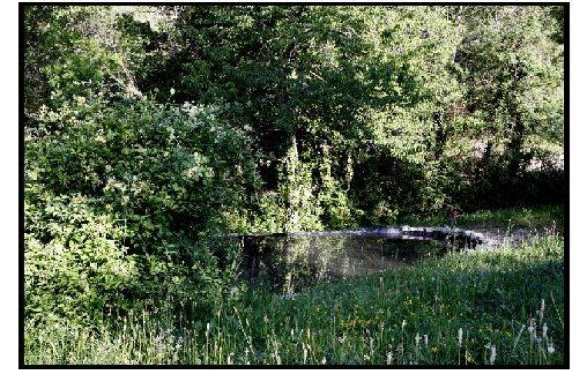 Location de vacances - Chalet à La Roche-sur-le-Buis
