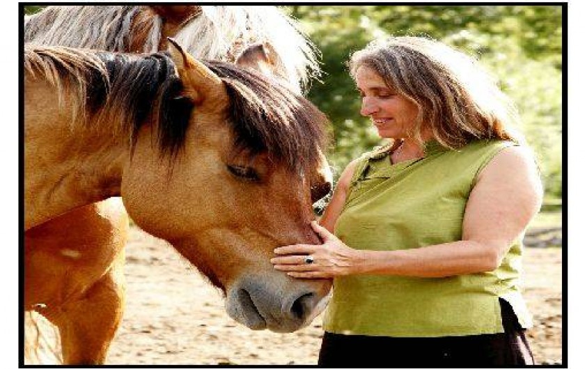 Location de vacances - Chalet à La Roche-sur-le-Buis