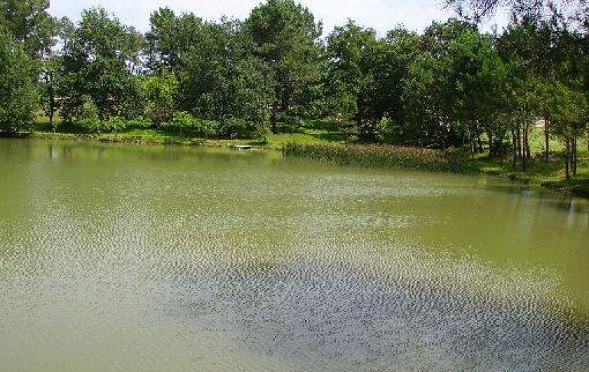 Location de vacances - Gîte à Bergerac