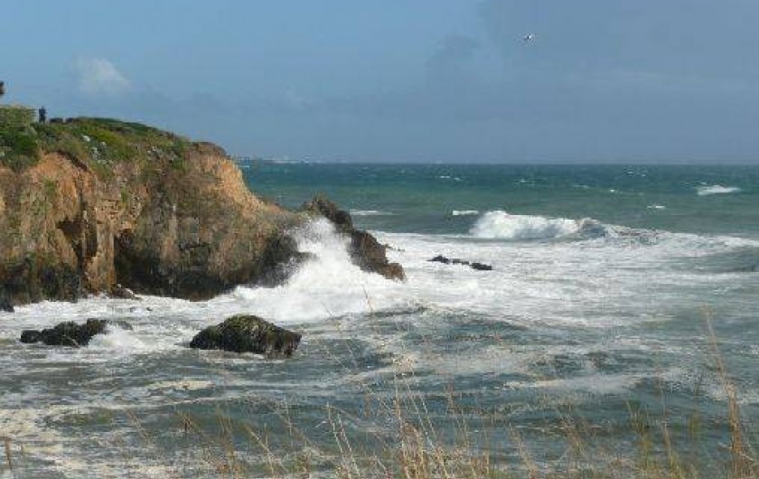 Location de vacances - Appartement à Le Pouldu