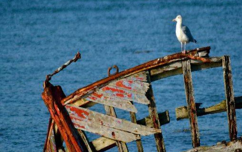 Location de vacances - Villa à Saint-Philibert