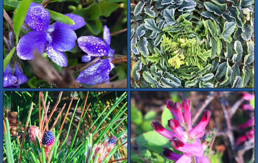 Location de vacances - Villa à Saint-Philibert