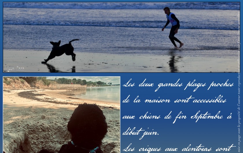 Location de vacances - Villa à Saint-Philibert