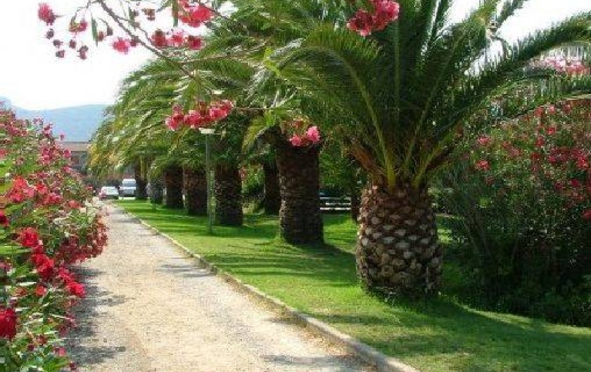 Location de vacances - Villa à Oletta