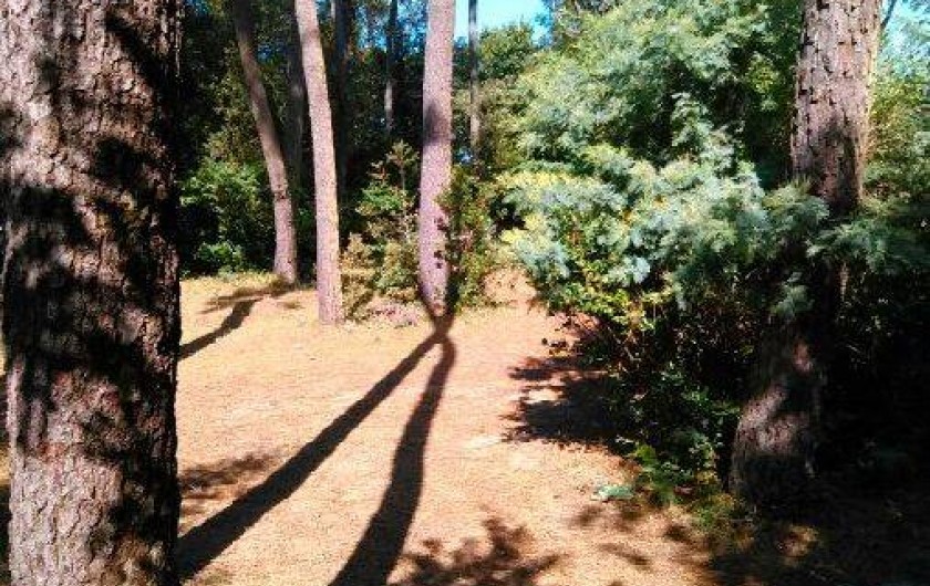 Location de vacances - Maison - Villa à Jard-sur-Mer