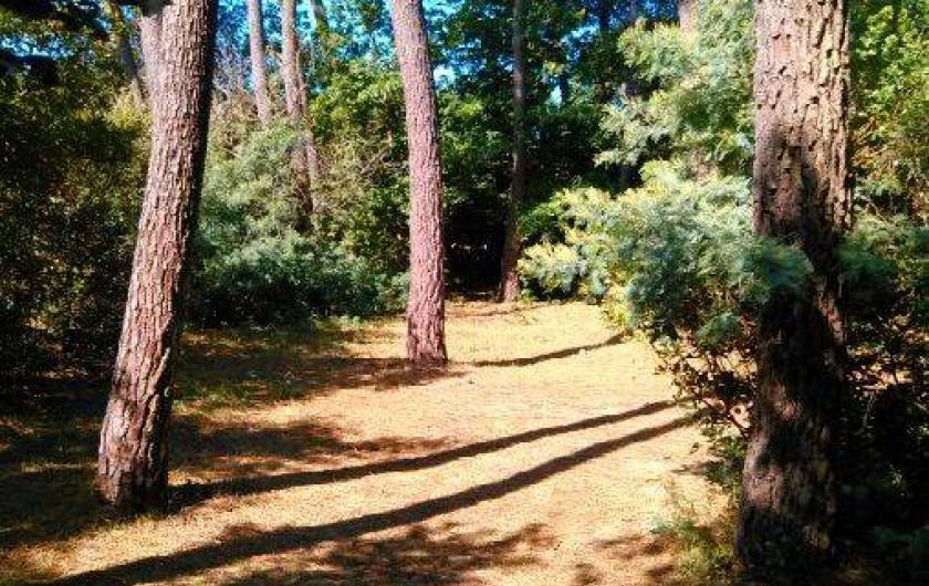 Location de vacances - Maison - Villa à Jard-sur-Mer