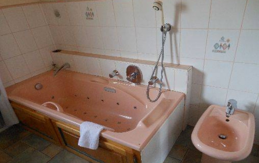 Location de vacances - Chalet à Vallouise