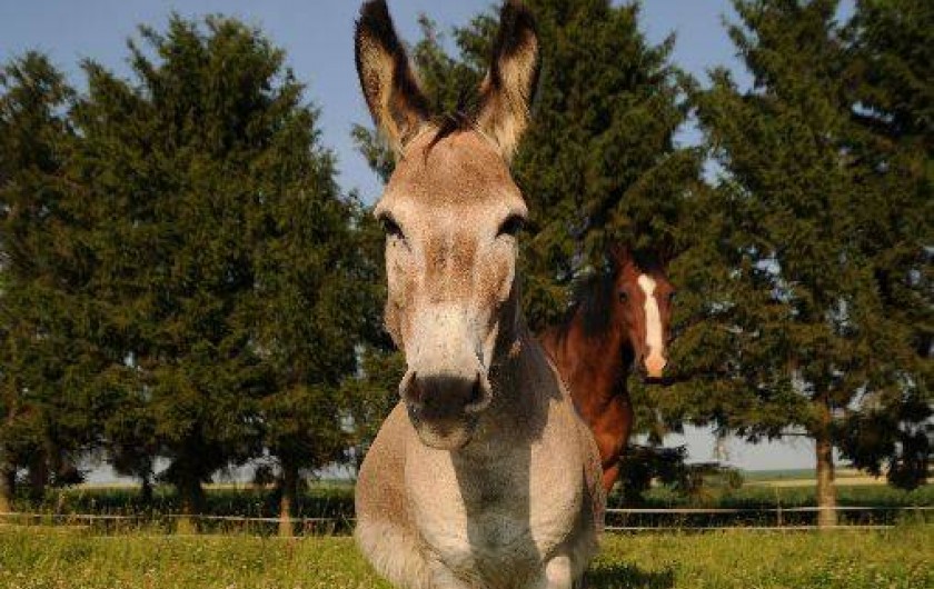 Location de vacances - Gîte à Banogne-Recouvrance