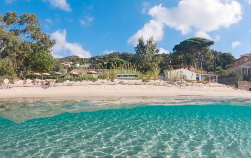 Location de vacances - Appartement à Le Lavandou