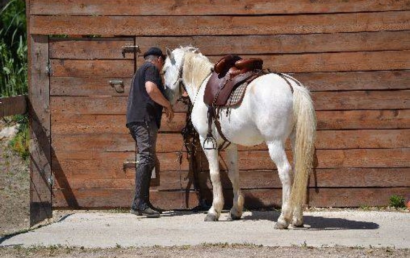 Location de vacances - Mas à Cavaillon