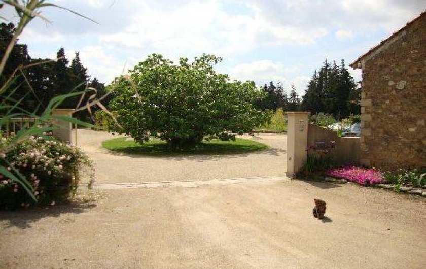 Location de vacances - Mas à Cavaillon