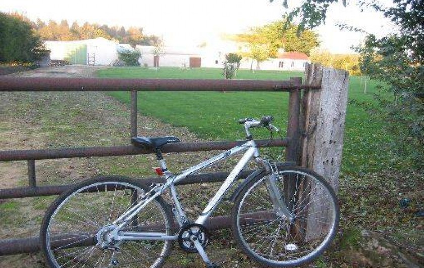 Location de vacances - Gîte à Machecoul