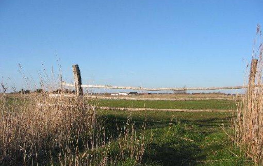 Location de vacances - Gîte à Machecoul