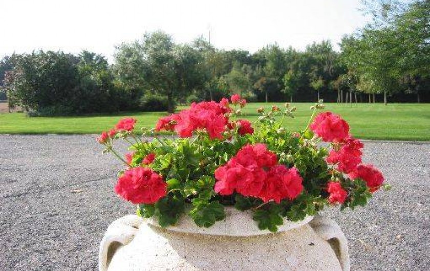 Location de vacances - Gîte à Machecoul