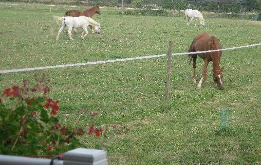 Location de vacances - Roulotte à L'Isle-Jourdain