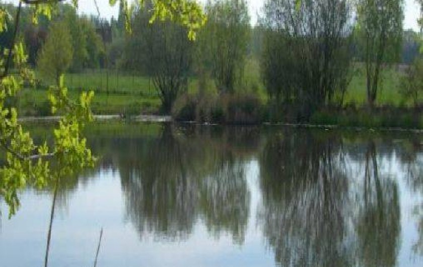 Location de vacances - Gîte à Cour-Cheverny