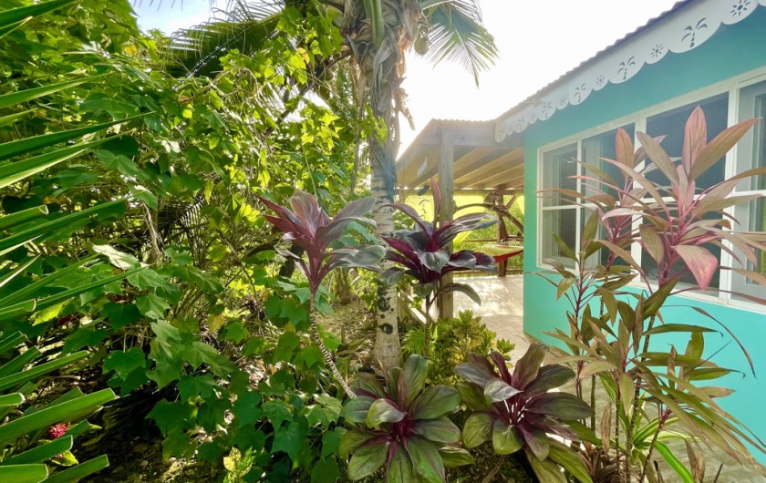 Location de vacances - Chambre d'hôtes à Le Gosier - Terrasse privée de la chambre XXL de 50m2