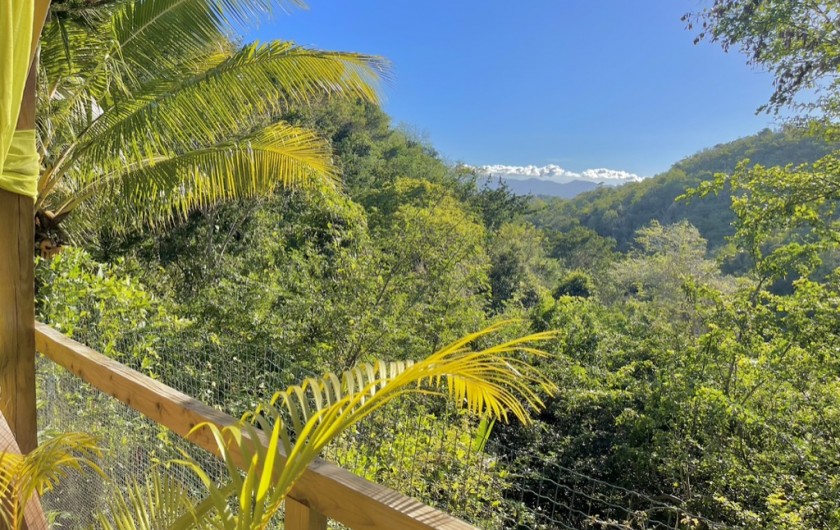Location de vacances - Chambre d'hôtes à Le Gosier - Terrasse privée de la chambre XXL de 50m2 sans vis à vis