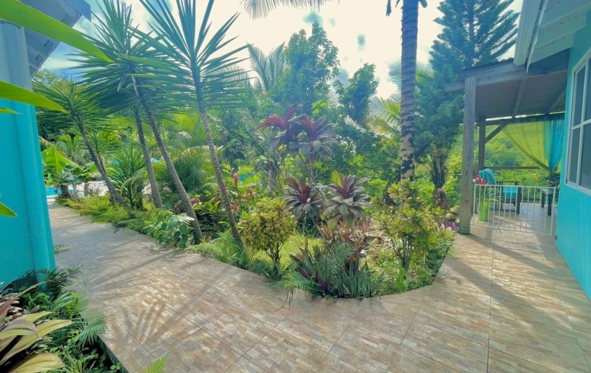 Location de vacances - Chambre d'hôtes à Le Gosier - Espace entre les 2 locations la XL et la XXL