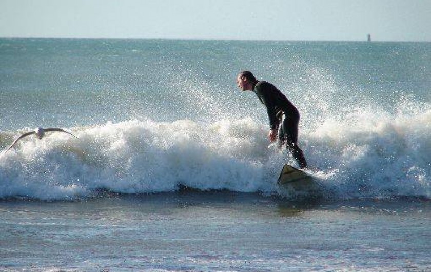 Location de vacances - Villa à Erdeven