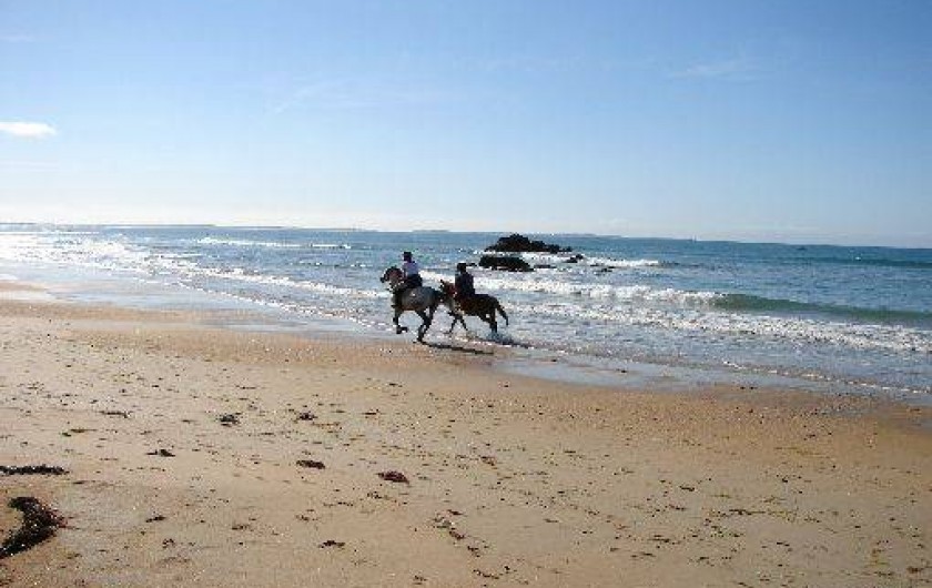 Location de vacances - Villa à Erdeven