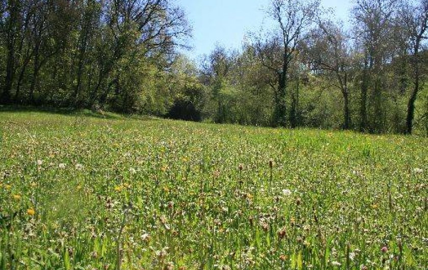 Location de vacances - Gîte à Brassac